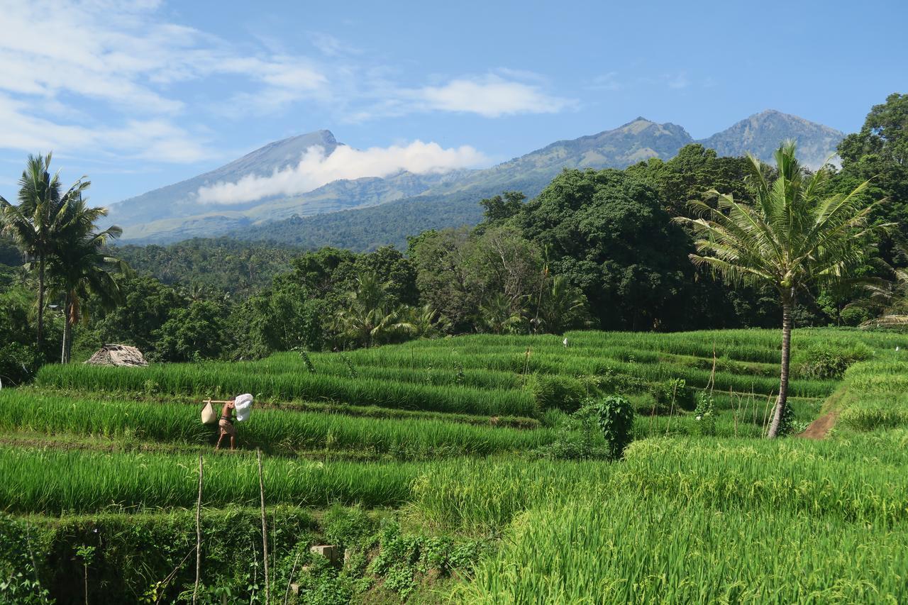 Budaya Kaki Rinjani 세나루 외부 사진