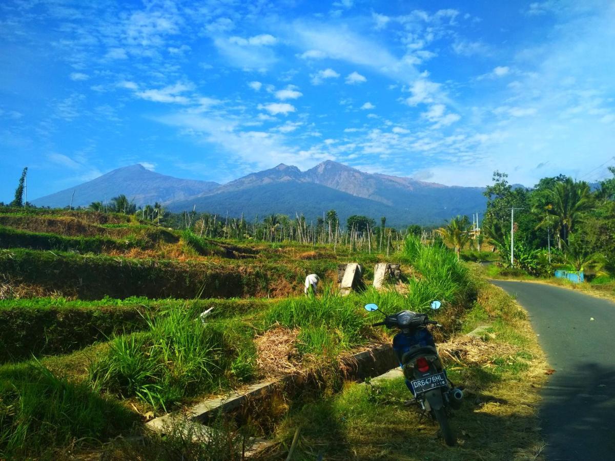 Budaya Kaki Rinjani 세나루 외부 사진